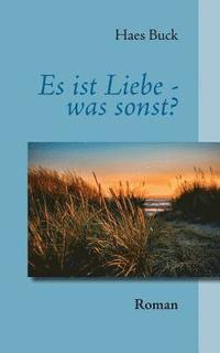 bokomslag Es ist Liebe - was sonst?