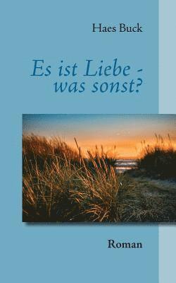 bokomslag Es ist Liebe - was sonst?