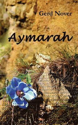 Aymarah 1