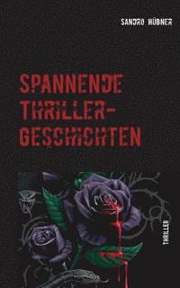 bokomslag Spannende Thriller-Geschichten