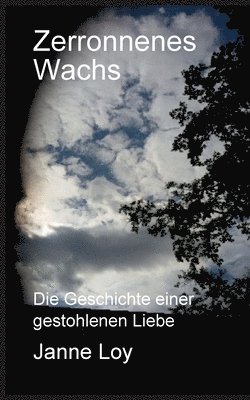 bokomslag Zerronnenes Wachs