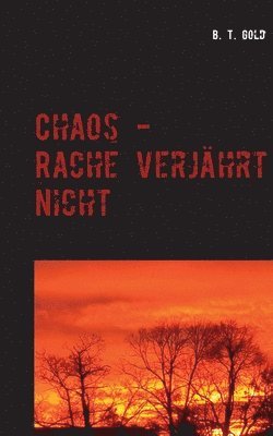 bokomslag Chaos - Rache verjahrt nicht