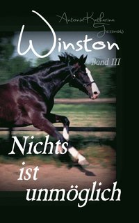 bokomslag Winston - Nichts ist unmglich