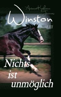 bokomslag Winston - Nichts ist unmöglich