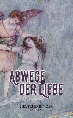 bokomslag Abwege der Liebe