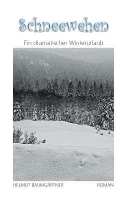 Schneewehen 1