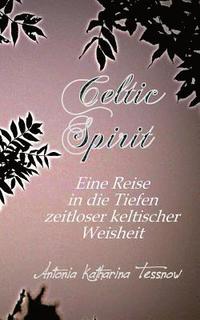 bokomslag Celtic Spirit