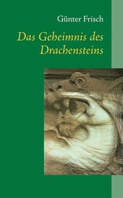 bokomslag Geheimnis des Drachensteins