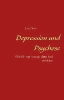 bokomslag Depression und Psychose