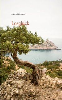 bokomslag Losglck