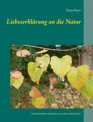 bokomslag Liebeserklärung an die Natur