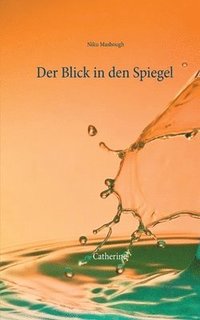 bokomslag Blick in den Spiegel