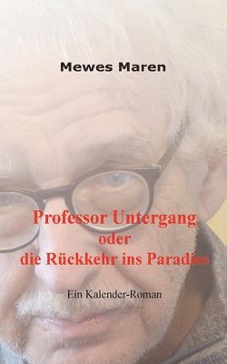 bokomslag Professor Untergang oder die Rückkehr ins Paradies