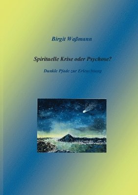 bokomslag Spirituelle Krise oder Psychose?