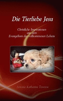 Antonia Katharina Tessnow - Tierliebe Jesu, Häftad