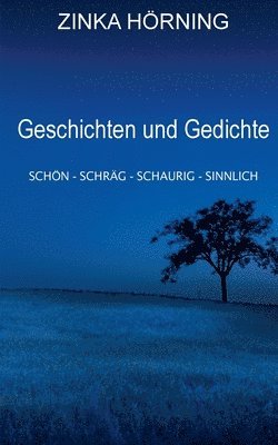 bokomslag Geschichten und Gedichte