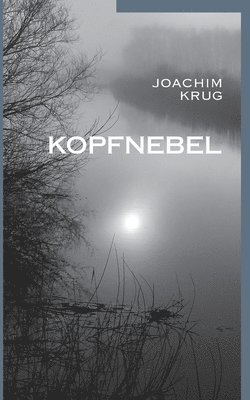 bokomslag Kopfnebel