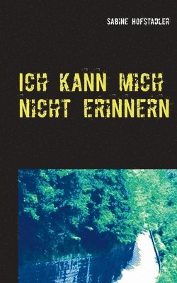 Sabine Hofstadler - Ich kann mich nicht erinnern, Häftad