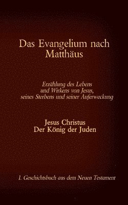 Antonia Katharina Tessnow - Evangelium nach Matthäus, Häftad