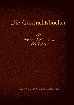 Antonia Katharina Tessnow - Geschichtsbücher des Neuen Testaments der Bibel, Häftad