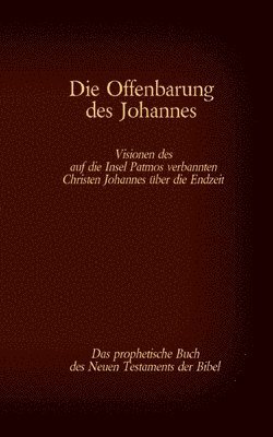 bokomslag Die Offenbarung des Johannes - Das prophetische Buch des Neuen Testaments der Bibel