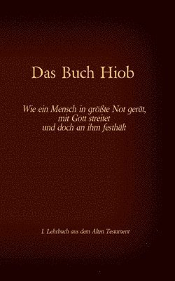 bokomslag Die Bibel - Das Alte Testament - Das Buch Hiob