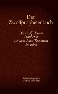 bokomslag Das Zwlfprophetenbuch