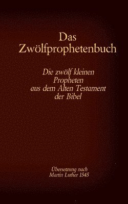 bokomslag Das Zwlfprophetenbuch