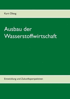 bokomslag Ausbau der Wasserstoffwirtschaft