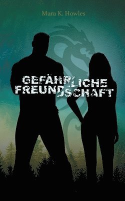 bokomslag Gefährliche Freundschaft