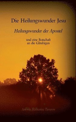 bokomslag Heilungswunder Jesu, Heilungswunder der Apostel