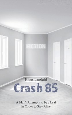 Crash 85 1