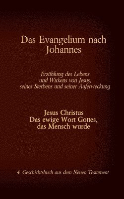 bokomslag Das Evangelium nach Johannes