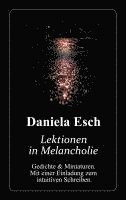 bokomslag Lektionen in Melancholie