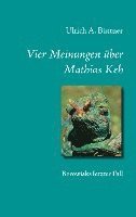 bokomslag Vier Meinungen ber Mathias Keh