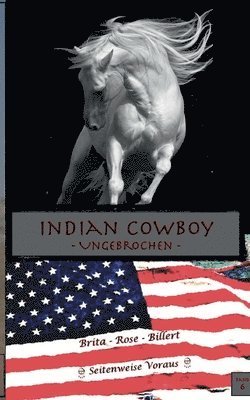 Indian Cowboy
