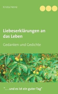 bokomslag Liebeserklärungen an das Leben