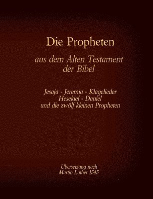 bokomslag Die Propheten aus dem Alten Testament der Bibel