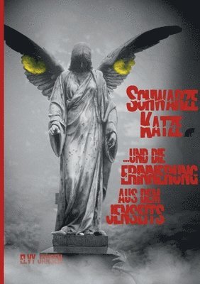 Elvy Jansen - Schwarze Katze...und die Erinnerung aus dem Jenseits, Häftad