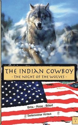 bokomslag Indian Cowboy 1