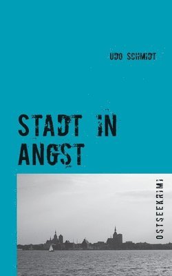 bokomslag Stadt in Angst