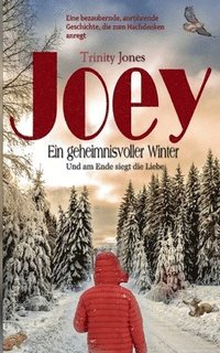 bokomslag Joey Ein geheimnisvoller Winter