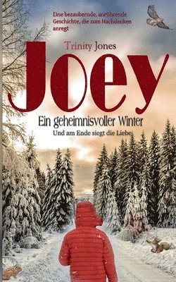 Joey Ein geheimnisvoller Winter 1