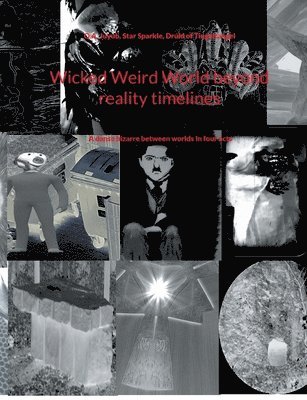 bokomslag Wicked Weird World beyond reality timelines