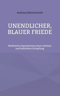 bokomslag Unendlicher, blauer Friede