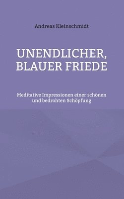 bokomslag Unendlicher, blauer Friede