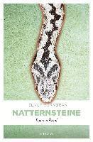 Natternsteine 1