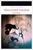 bokomslag Tödlicher Taunus