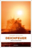 Hannes Nygaard - Deichfeuer, Häftad