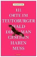 bokomslag 111 Orte im Teutoburger Wald, die man gesehen haben muss